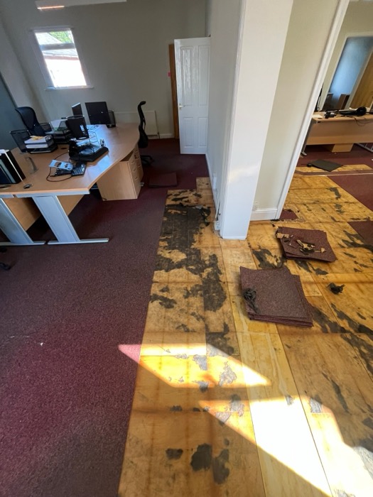 Commercial installation by Rainbow Flooring