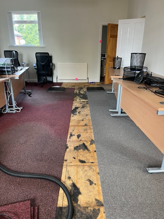 Commercial installation by Rainbow Flooring